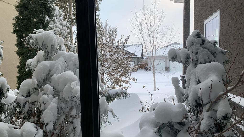 Snow Saskatoon 