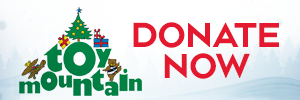 Toy Mountain 2020 Donate Online 