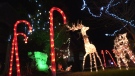 Decorations on Shady Spring Cres. in Lakeshore, Ont. where a group of neighbours decided to launch Shine Bright YQG on Thursday,Nov. 12, 2020. (Chris Campbell/CTV Windsor, Ont.)