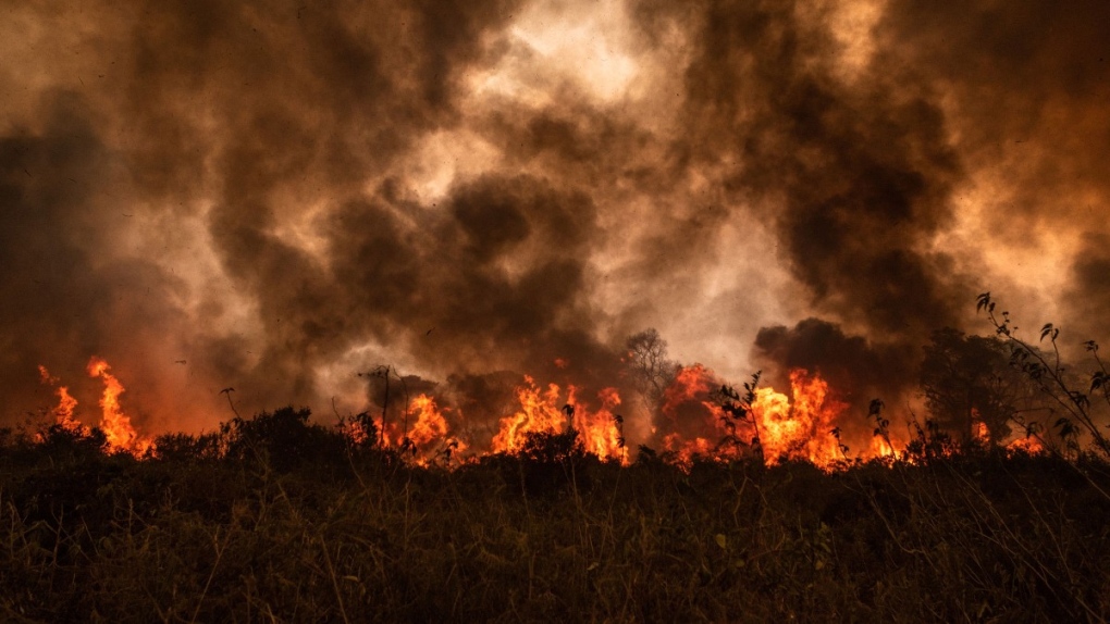 Fire in the Pantanal in rural Mato Grosso, Brazil