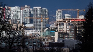 Construction cranes tower above condos under construction near southeast False Creek in Vancouver, on February 9, 2020. (Darryl Dyck / THE CANADIAN PRESS)