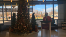 Hotel Dieu Grace Healthcare launched the 34th annual Tree of Lights campaign on Facebook live in Windsor, Ont. on Tuesday, Nov. 17, 2020. (source Hotel Dieu Grace Healthcare/Facebook)