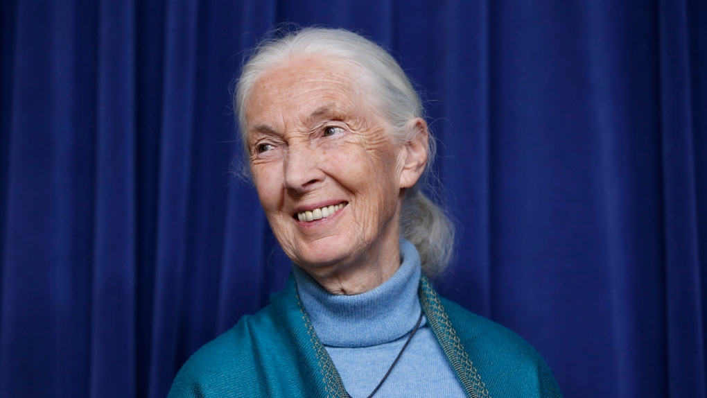  Jane Goodall 