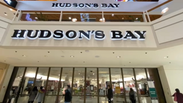 the north face hudson's bay