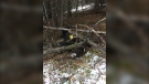 Two men are charged after a grizzly bear was illegally killed in 2018 (Fish and Wildlife)