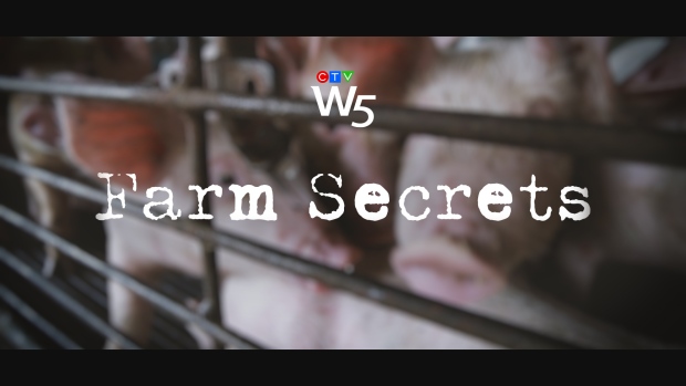 Farm Secrets