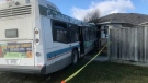 A Kingston Transit bus struck a home on Mohini Place in Kingston, Ont. Saturday, Nov. 28, 2020. No serious injuries have been reported. (Kimberley Johnson / CTV News Ottawa)