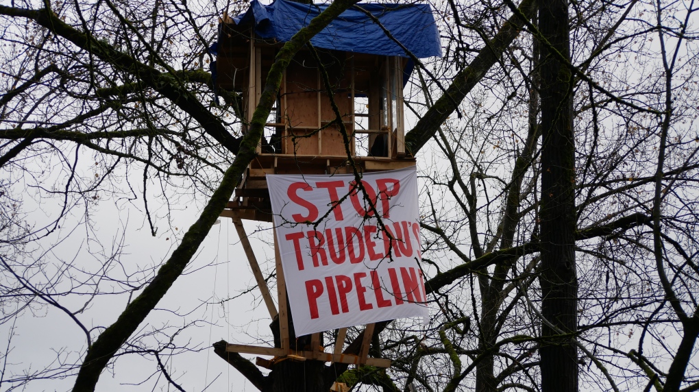 Trans Mountain pipeline treehouse in Burnaby, B.C.