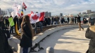 More than 50 people got together to protest COVID-19 regulations in downtown Windsor, Sunday November 29, 2020 (Source: Gord Bacon)