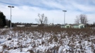 The proposed new location for the Humane Society London Middlesex is seen at 1414 Dundas St. in London, Ont. on Thursday, Dec. 3, 2020. (Jim Knight / CTV News)