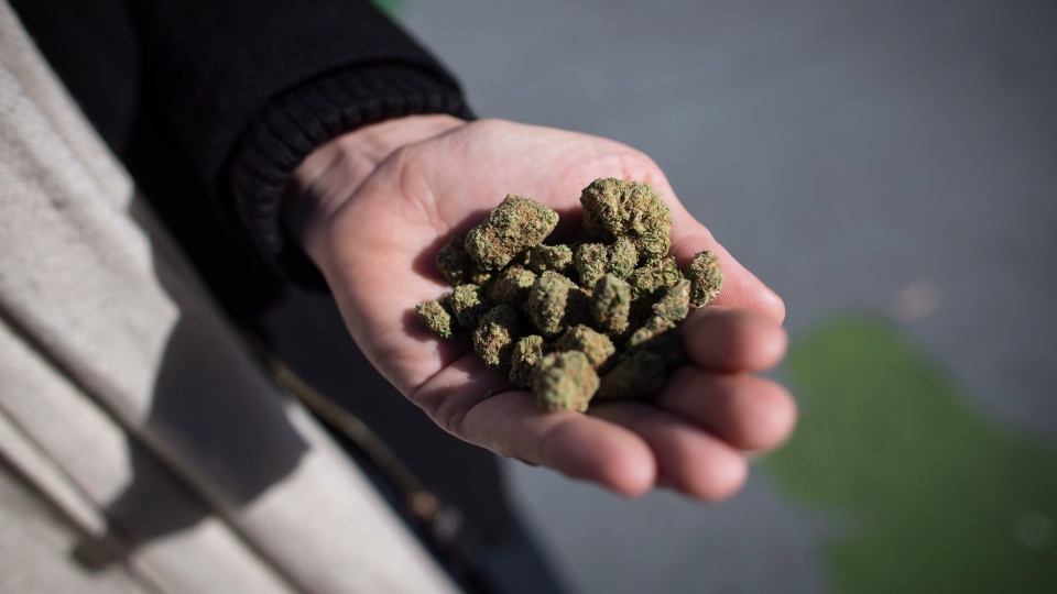 Pot shops cropping up across First Nations communities in legal grey zone |  CTV News