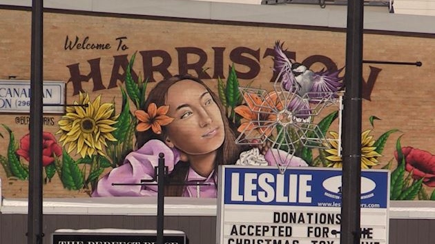 A mural in Harriston, Ont. on Dec. 9, 2020. (Scott Miller/CTV London)