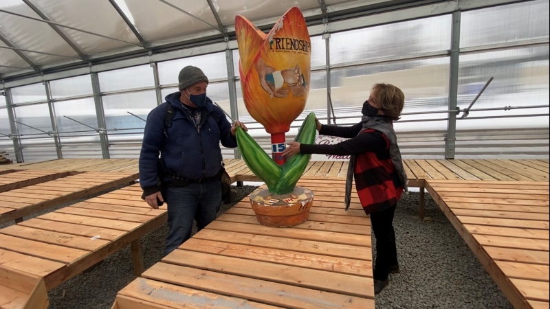 Greenhouse owners Sylvia Vogt-Nesbitt and Ron Nesbitt won a giant tulip at auction and plan to display their piece of history at their shop. Alymer, QC. Dec. 9, 2020. (Tyler Fleming/CTV News Ottawa)