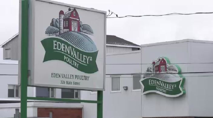 The Eden Valley Poultry plant is shown in this file photo. 