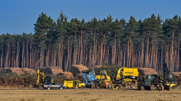 German court halts felling of trees at site of Tesla plant | CTV News