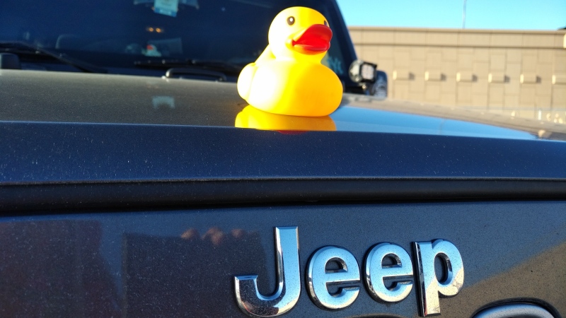 Duck, Duck Jeep