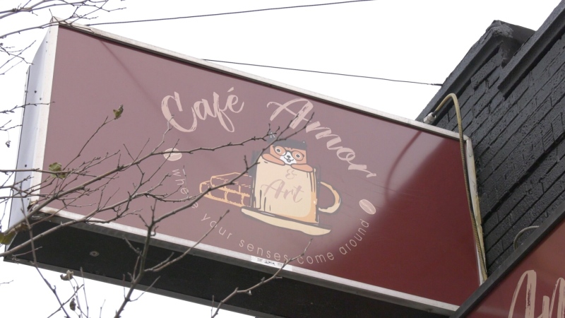 Newly-opened business Cafe Amor and Art on Ottawa Street in Windsor, ON prepares for COVID-19 lockdown measures set to take effect on Monday, December 14. Pictured Friday, December 11, 2020. (Ricardo Veneza/CTV Windsor).