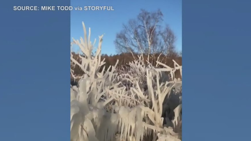 Natural ice sculptures form along Lake Ontario