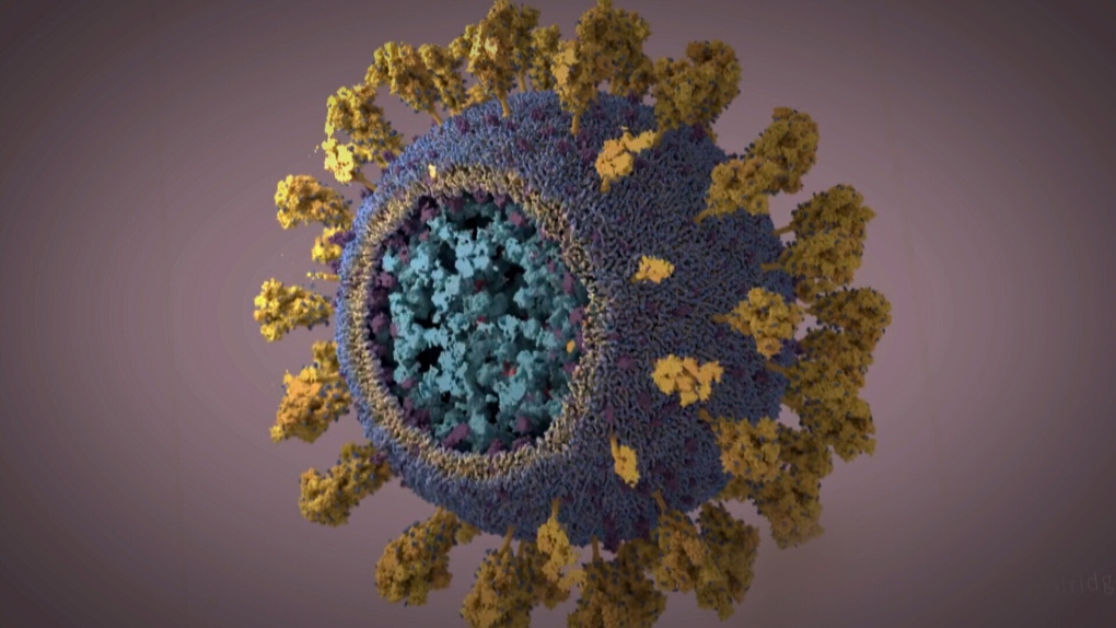 Monitoring the U.K. coronavirus variant