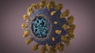 Monitoring the U.K. coronavirus variant