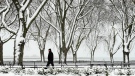 A person is seen walking through the snow covered trees near the boardwalk overlooking Lake Ontario in Toronto on Tuesday, December 1, 2020. THE CANADIAN PRESS/Nathan Denette