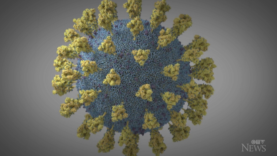 New variant of COVID-19 virus spreading