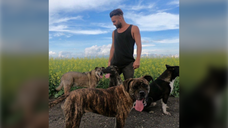 Ryan Klassen is pictured with his four dogs. (Source: Instagram/K9 Advocates Manitoba)