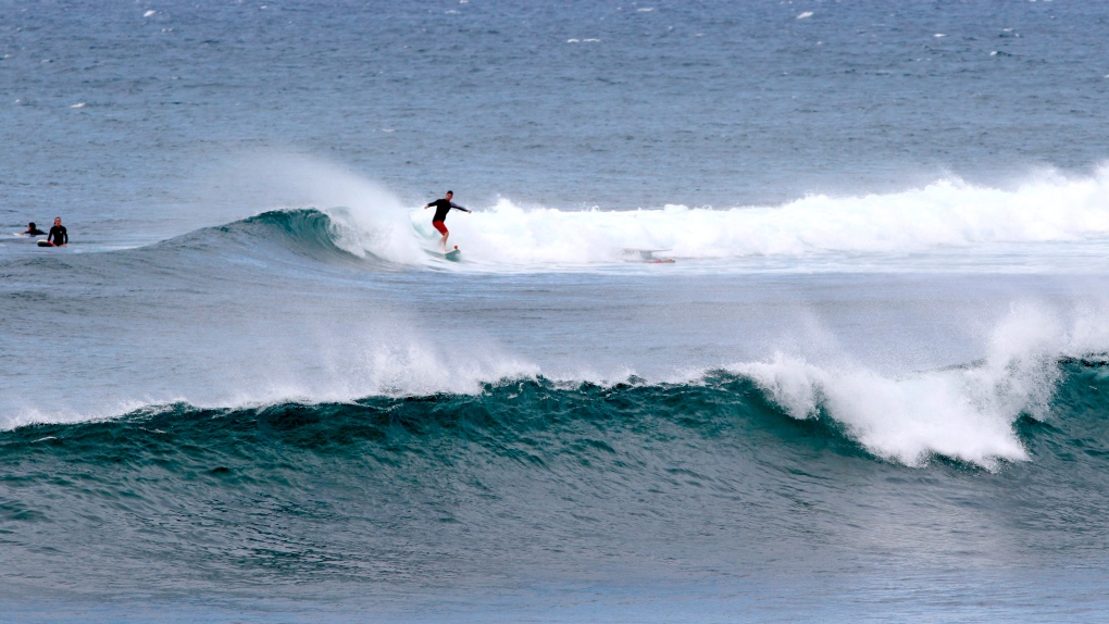 oahu hawaii surfer