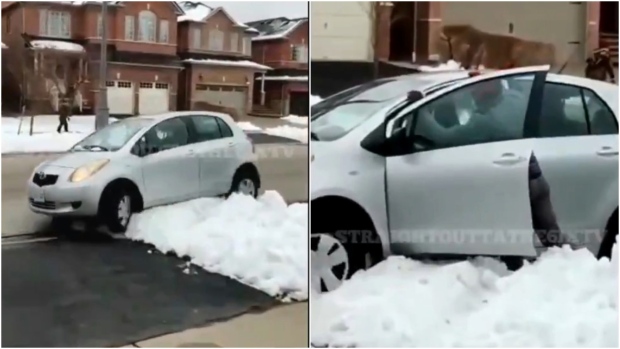 The porch pirate gets stuck in the snow after the attempted robbery in Mississauga, Ont.