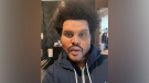 The Weeknd has a new look. (The Weeknd/Instagram)