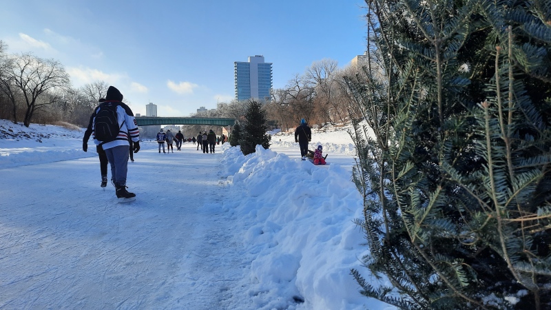 People skating on Centennial River Trail January 9 (Dan Timmerman/CTV News)