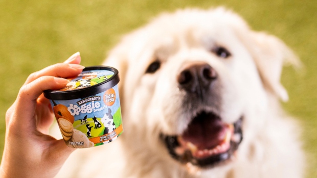 Doggie desserts: Ben & Jerry's enters the pet food business - CTV News