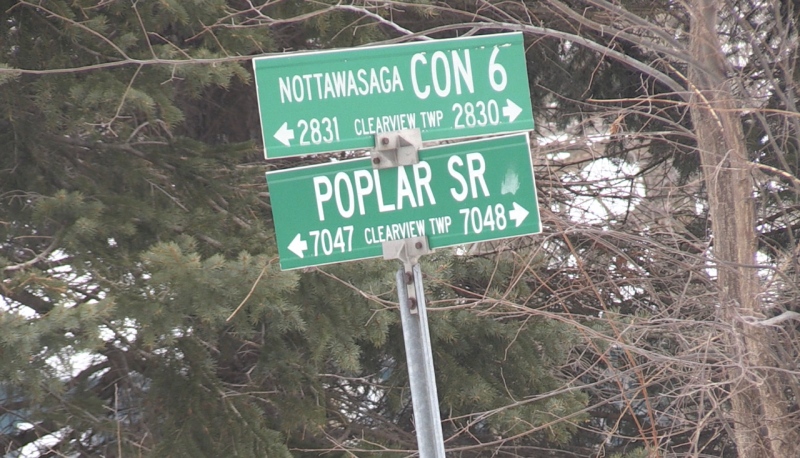 Poplar Sideroad in Collingwood, Ont. (CTV News)