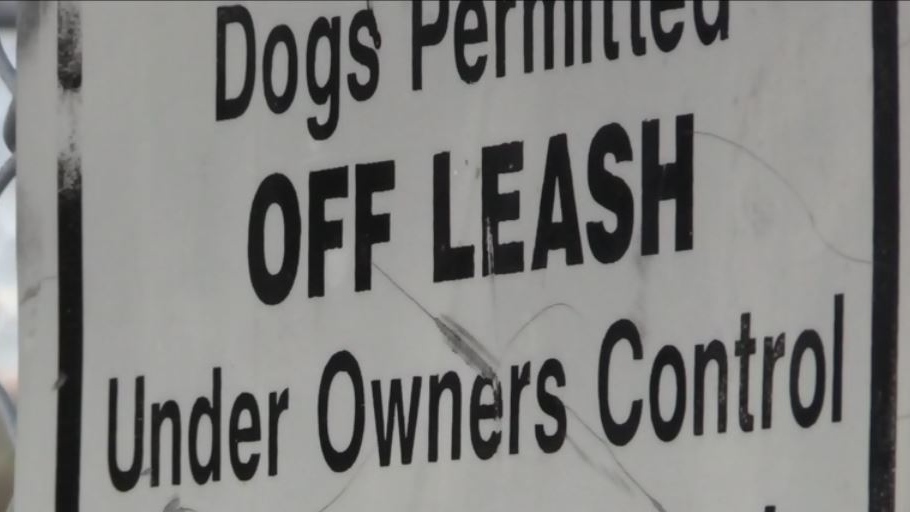 off leash