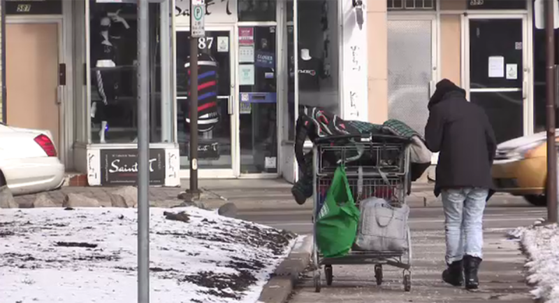 A woman walks with her cart on Princess Avenue in St. Thomas, Ont. on Tuesday, Jan. 19, 2021. (Brent Lale / CTV News)