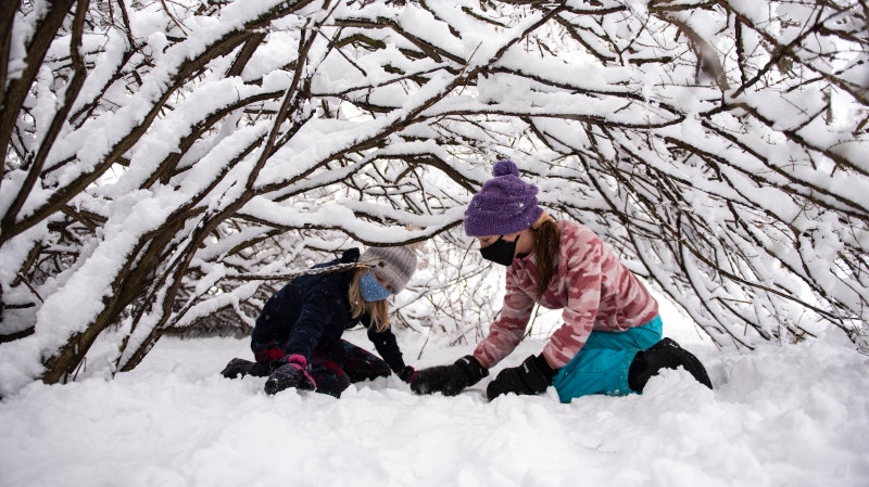 Elly Pergant Johnson, 10, left, and Elsie Sutherland, 10, right, play under the snow-laden branches of a bush during a snowstorm in Ottawa, on Saturday, Jan. 16, 2021. A snowfall warning is in effect with Environment Canada predicting between 15 to 30 cm of snow by tonight. (Justin Tang/THE CANADIAN PRESS)