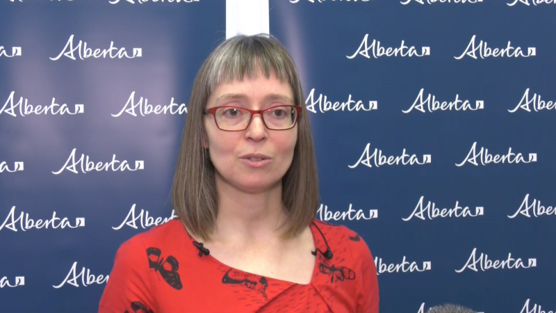 Chief Medical Officer of Health Dr. Deena Hinshaw first talked to media about the coronavirus on Jan. 21, 2020. (CTV News Edmonton)