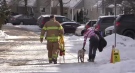 A London firefighter escorts a pug and its owner home after the dog jumped in the Thames River Wednesday, Jan. 27, 2021. (Brent Lale / CTV News)