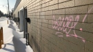 Graffiti vandalism spotted in Edmonton on Friday, Jan. 29, 2021. (CTV News Edmonton/Evan Klippenstein)