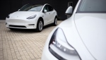 Tesla posted its first full year of net income in 2020. (Luke Sharrett/Bloomberg/Getty Images)