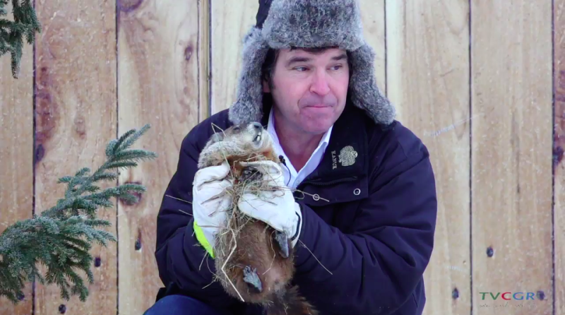 Quebec's famed groundhog Fred la Marmotte has died; child stands in for Groundhog Day