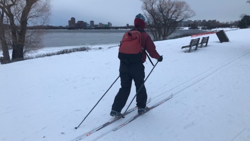 A skier on the Sir John A. Macdonald Winter Trail in Ottawa. Feb. 3, 2021. (Jim O'Grady / CTV News Ottawa)