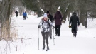 The Ski Heritage East trail is more than 30 km long and stretches from Trim Road to Blair Road in the city’s east end.  (Katie Griffin/CTV News Ottawa