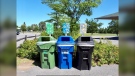 The city of Ottawa is looking to expand recycling and organic waste bins to more parks in 2021. (Photo courtesy: Twitter/JimWatsonOttawa)