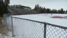 Community groups are hoping to build a $76-million rec centre at Rollie Miles Athletic Park.