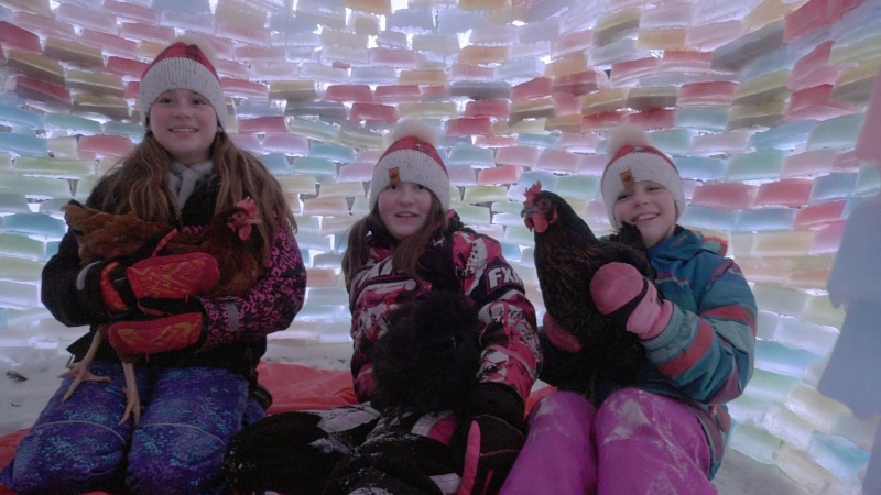 Evalee, Georgia and Mia Bullock spent three weeks building a beautiful multi-coloured igloo in their yard. (Dylan Dyson/CTV News Ottawa)