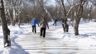 Skaters enjoy the RiverOak Skating Trail in Metcalfe on Thursday, Feb 4, 2021. (Katie Griffin/CTV Ottawa). 