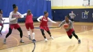 Daneesha Provo and Shay Colley -- two Nova Scotia-born talents -- were among Canada's top 20 players taking part in a virtual training camp with the national team last week as their goal of making the Olympic team draws closer to reality. (COURTESY CANADA BASKETBALL)
