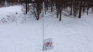 No tobogganing signs are going up at a popular hill where a man was seriously injured (Gerry Dewan / CTV News)