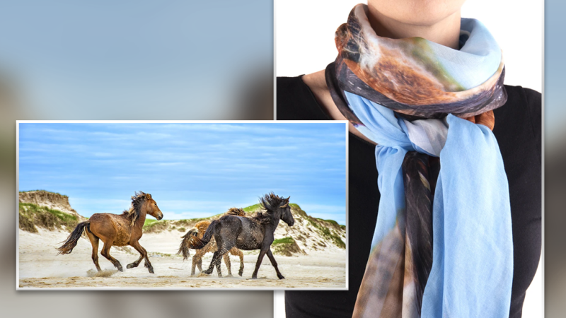 'Sable Island Horses' by Michelle Valberg, turned into a scarf as part of the Athena Collection. 